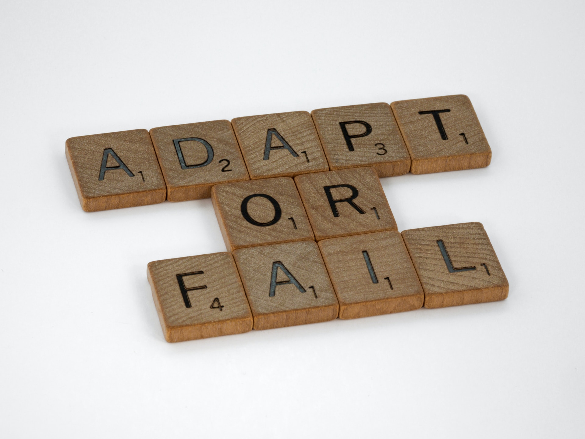 5 Reasons How Startups Fail and 3 Ways to Avoid it